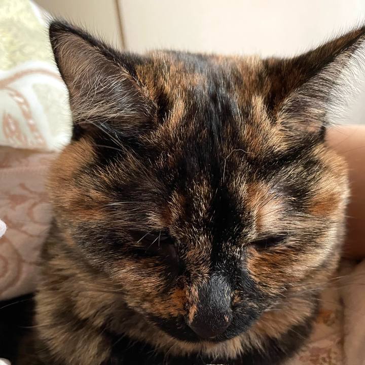 016135ca 4474 4aaa a77f fbf711403bb1 1642214873434