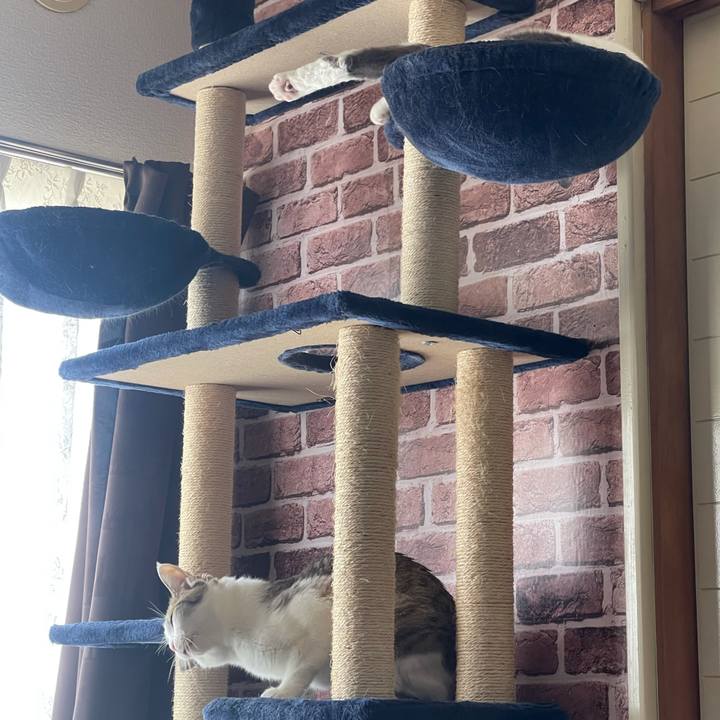 01616418 4d54 423f afc1 62fb4e4ed886 1630290932094