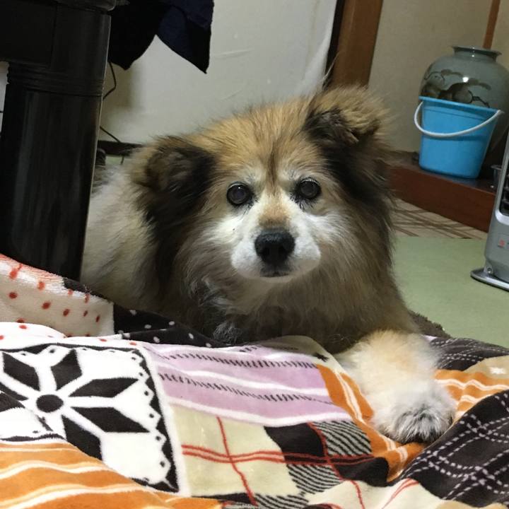 016180c5 9dbc 4f33 a17c 41edd04c0557 1547810964286