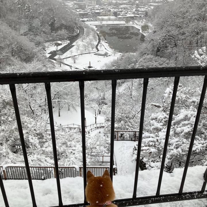 016195bf 07ae 477c ba44 3049e4c25541 1764938334458