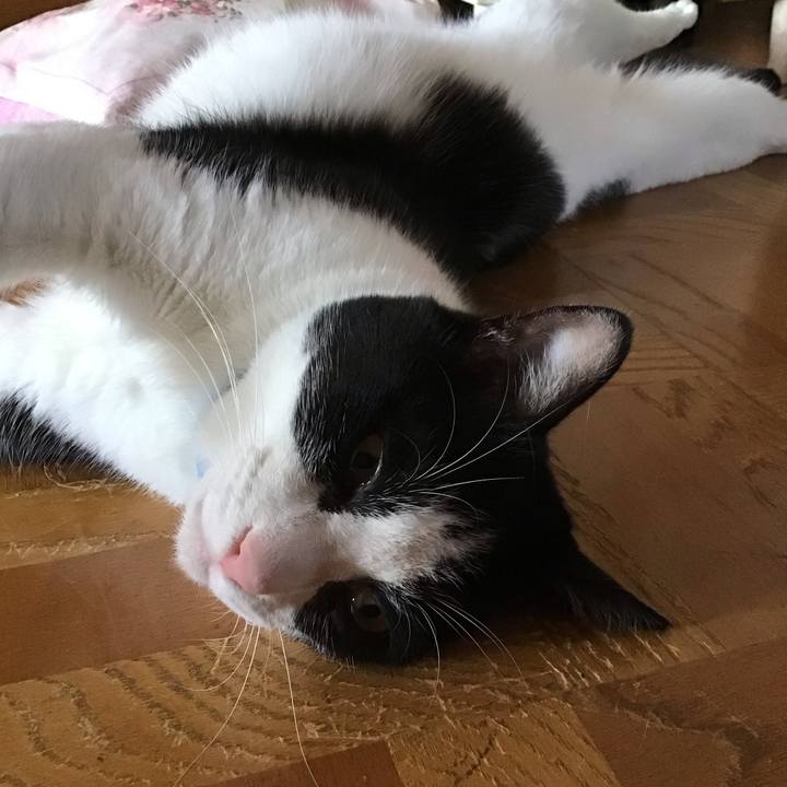 0161e4e1 6d69 457b a7bc 62980724ab88 1690630866684