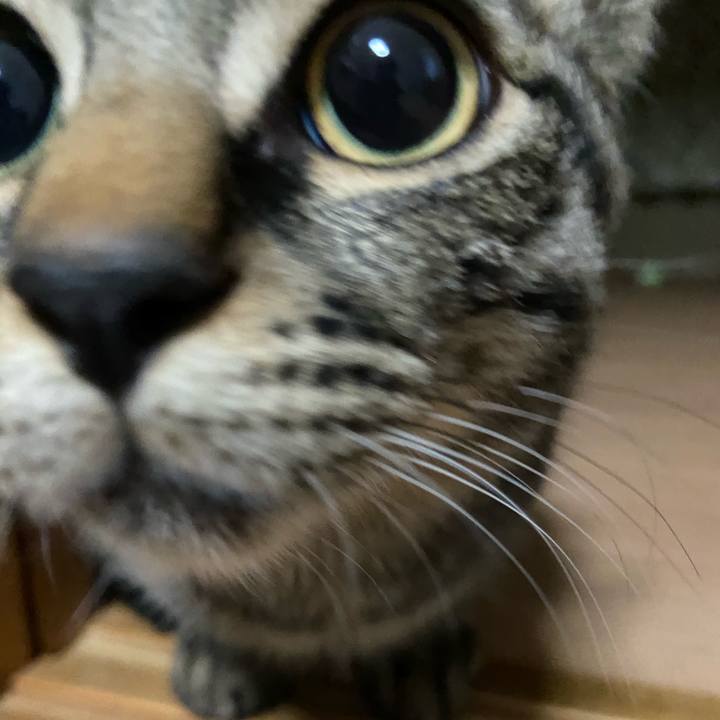 0161fc38 f2f3 437d 8a7c da70ecf2e0fd 1617374574304