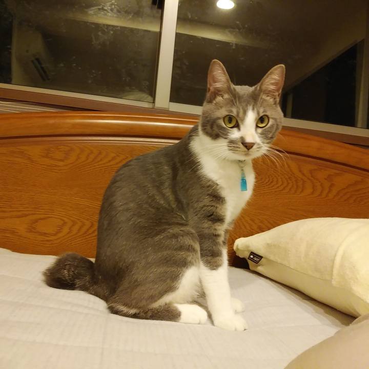 01620ed7 d892 42bb ae65 93342ed5d69e 1593697429285