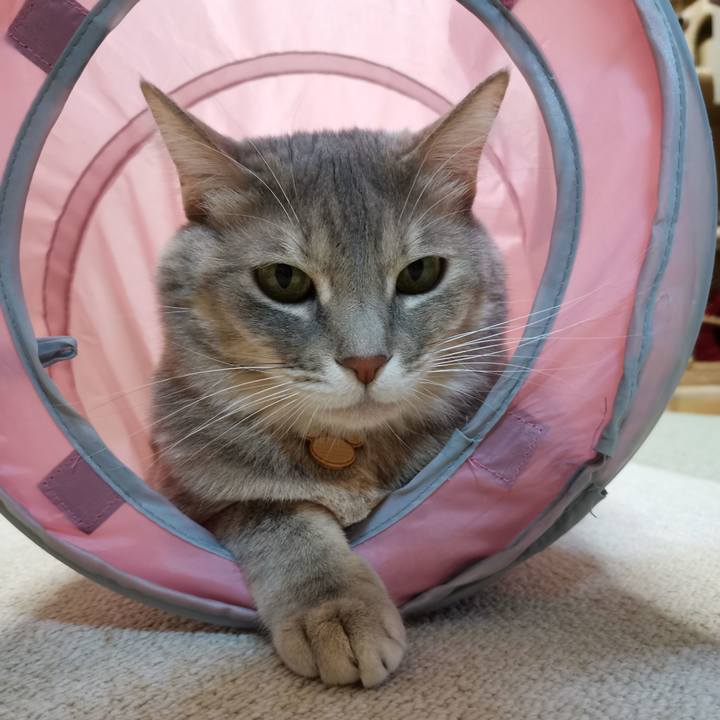 01622607 7982 446d a9d4 5cf99bb48072 1609079014423