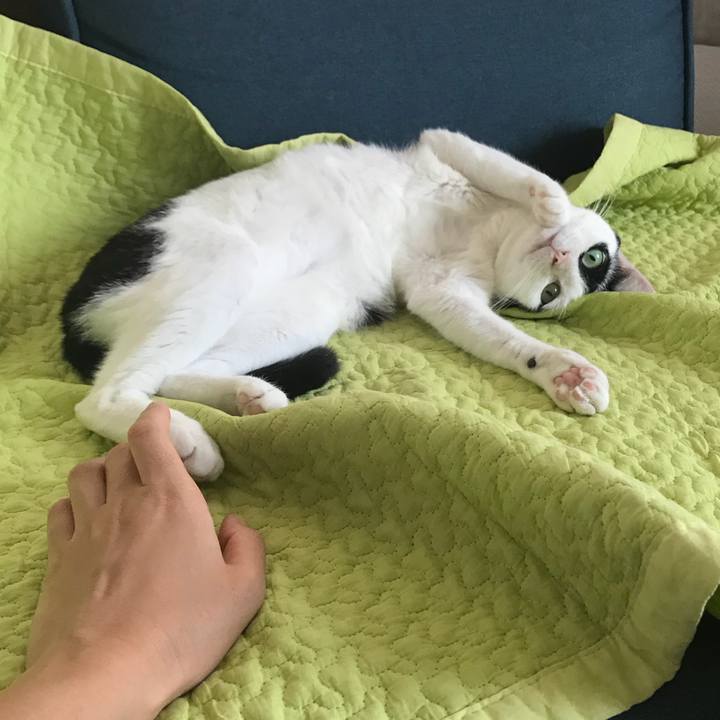 01622919 ae07 4f13 bd7f 8f2be46e9851 1536071389997