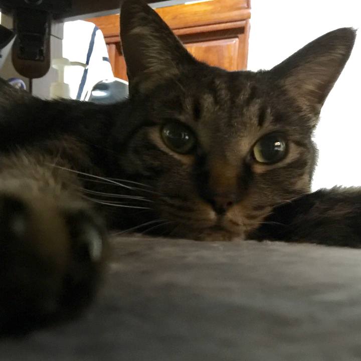 01624333 abae 41bc aa38 403647c6ff8f 1527683882878