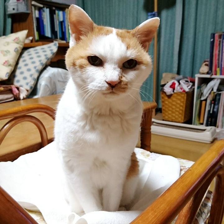 0162453c 60ba 40b9 b400 421d6767f994 1525086885574