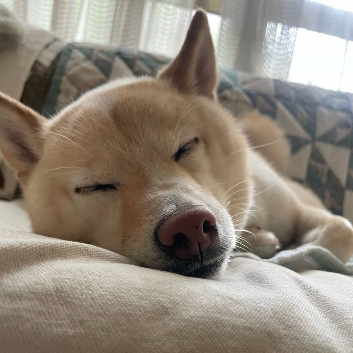 016249e7 3bfe 4bba 9dba 3f9035c21c5f 1658016348500