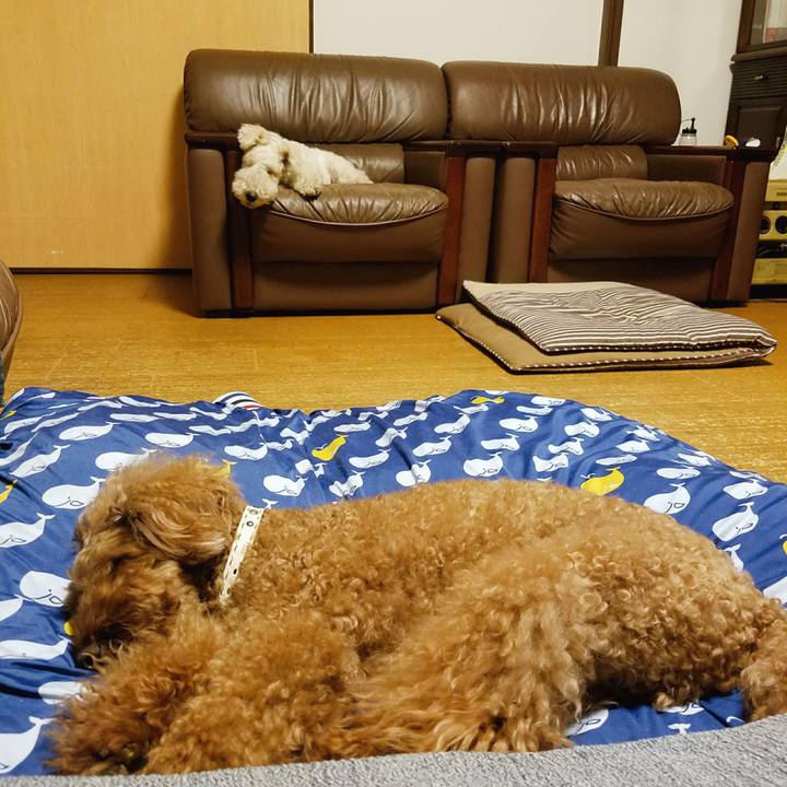 01626102 b360 4cb4 90b8 5d2b02b84403 1531925528076