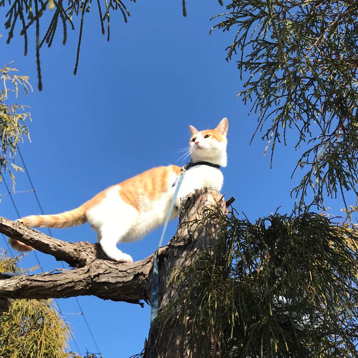 01626974 6b71 4d57 beac b4f9215f77fd 1515054983809