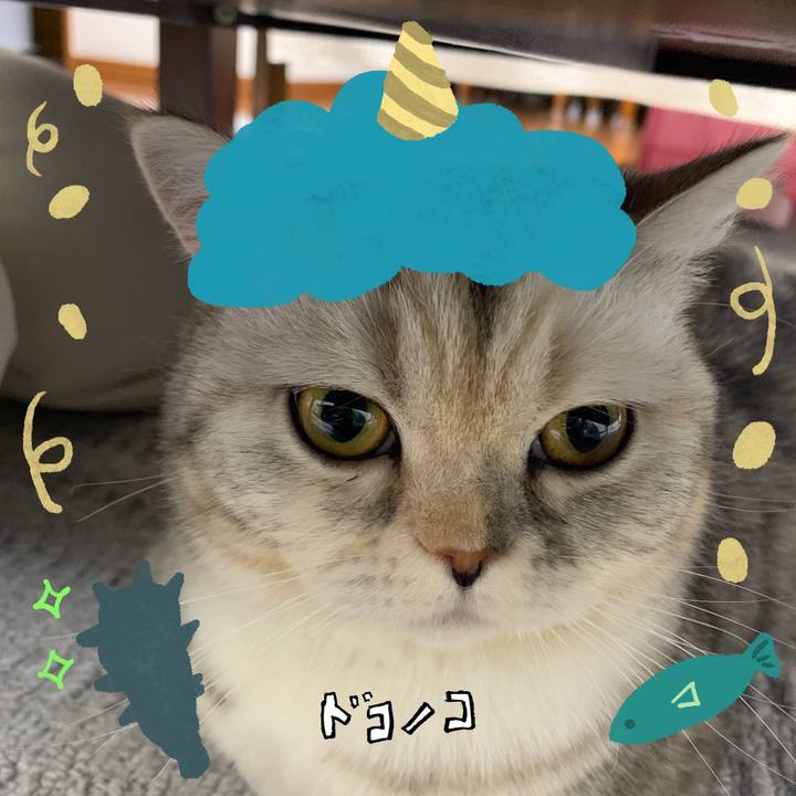 01626c78 c58f 474f 9773 096fbbda360c 1706873811882