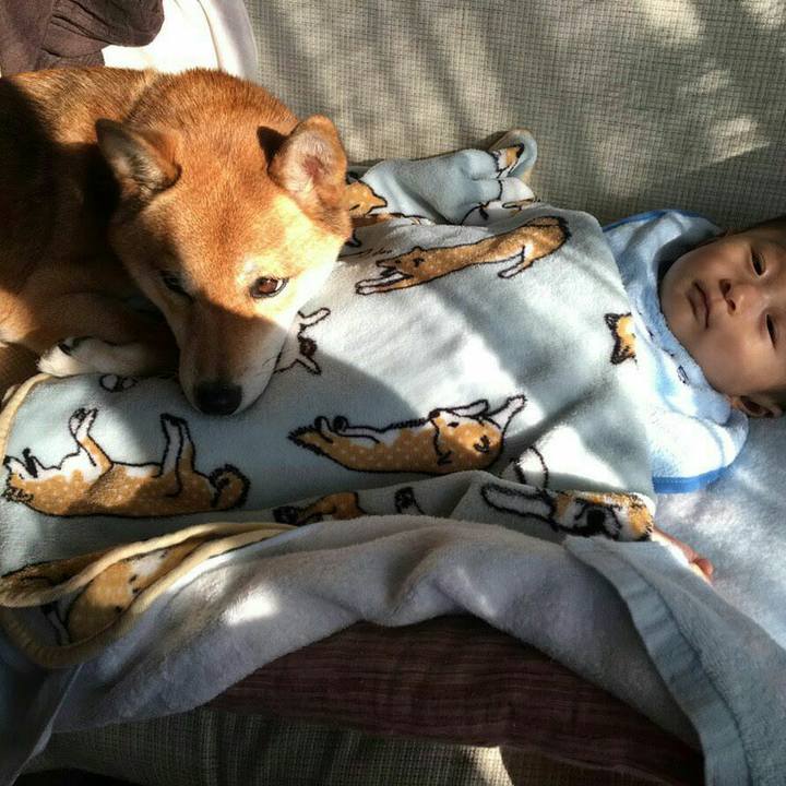 0162b0f5 c0aa 4253 a918 7567b4c379c0 1543904708879