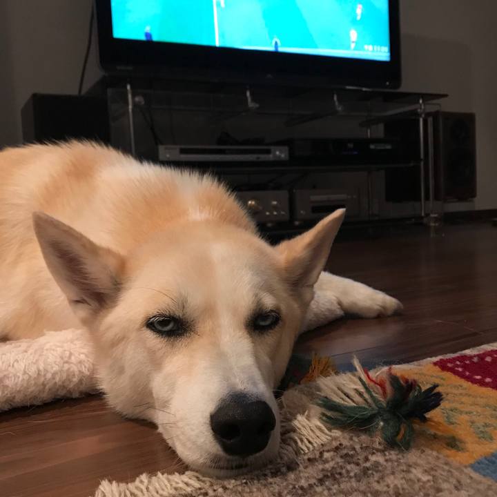 01634a45 a78a 49c6 9c58 c2d87e95041d 1531578425036