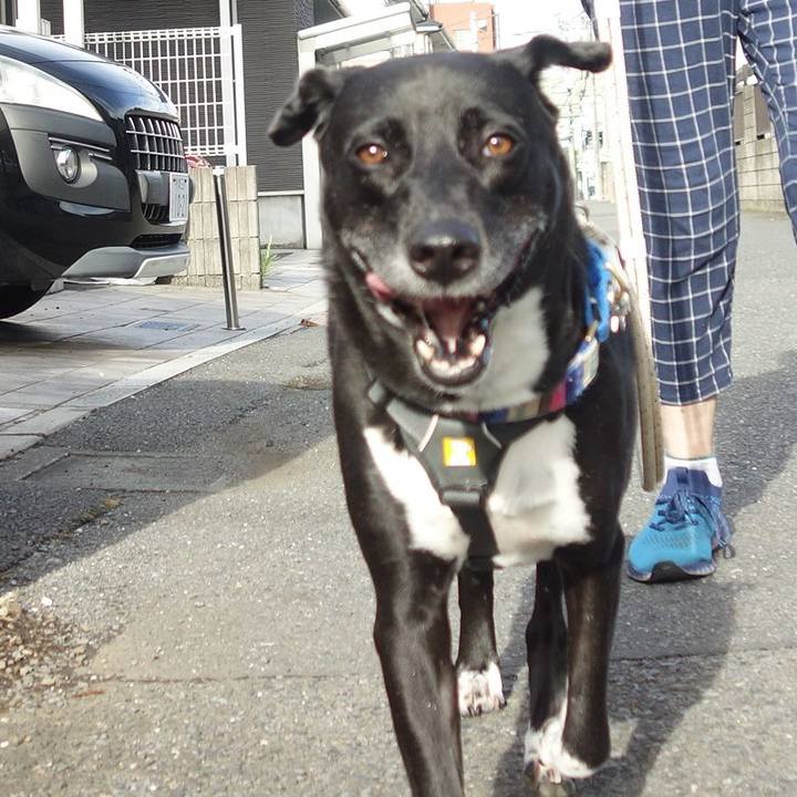 01634e77 31e3 492f b692 13d2e8893257 1658876980414