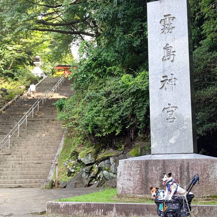 0163597f ec98 4c85 a07f 5b2dc2795820 1691813537863