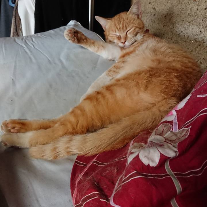 0163bd1b 7c0f 4536 b79a 8036472d1c29 1558851595210