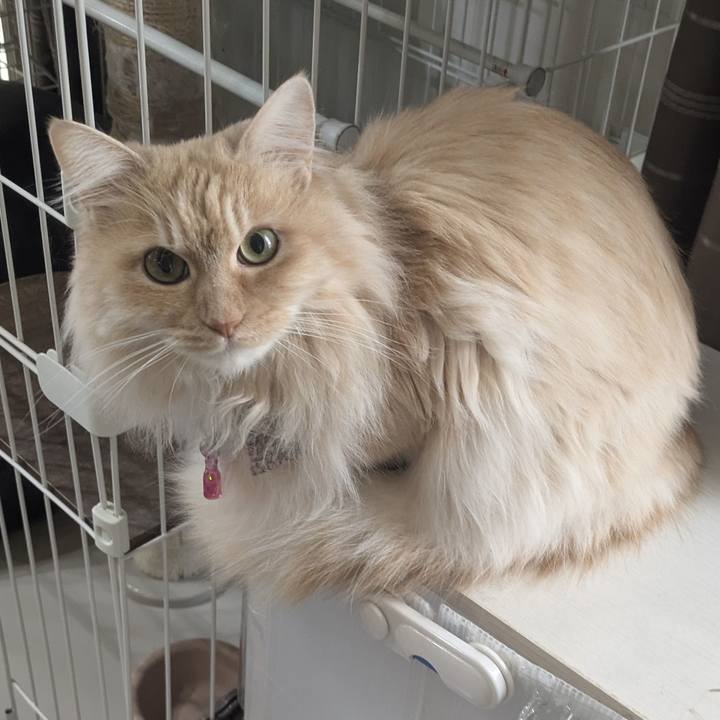 0163d225 07e6 49ab 8c69 1ba30864a4d4 1773906184351