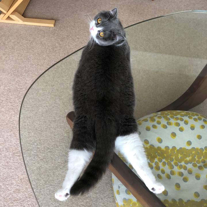 0163d4b9 b6be 4b7c b920 f188fc957dd8 1528938521180