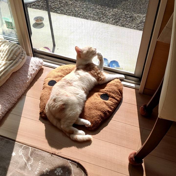 0163e6ce 09bd 4973 b959 f8b95b522d32 1667956020306