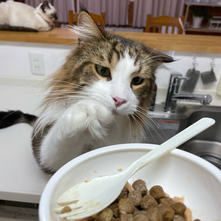 01642af3 f061 49fd afd6 39497e21accf 1694290110350