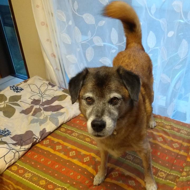 0164475f 6632 4dab be95 0040adf3a820 1567156026629