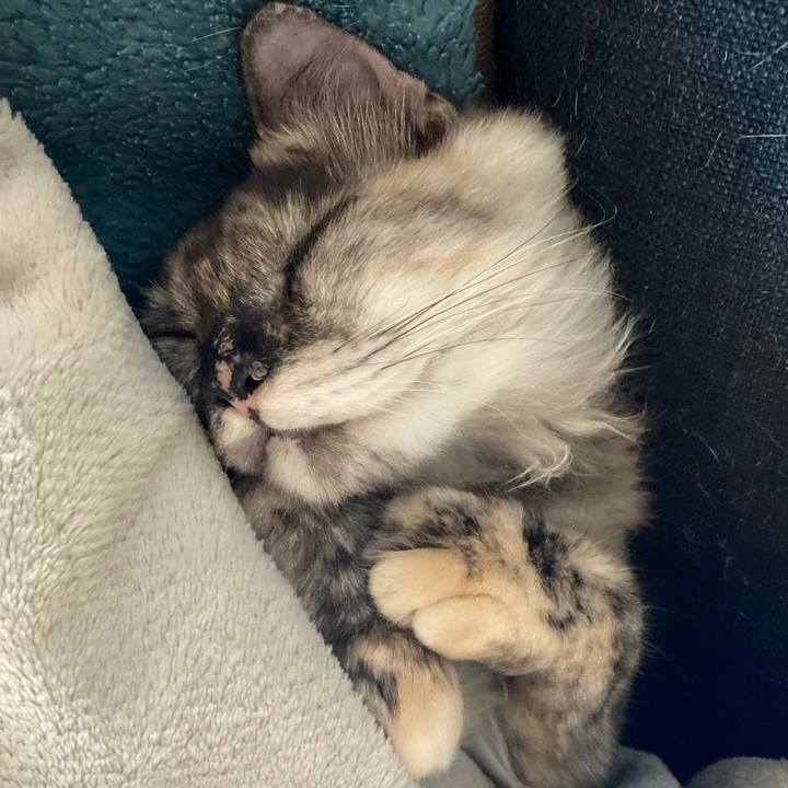 0164525d dfcc 4673 8b88 f6130c0d4e46 1706333413633