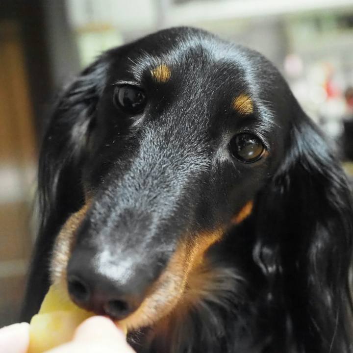 01645e0f eda8 47f7 a89c 4c61a0296bd2 1546863252978