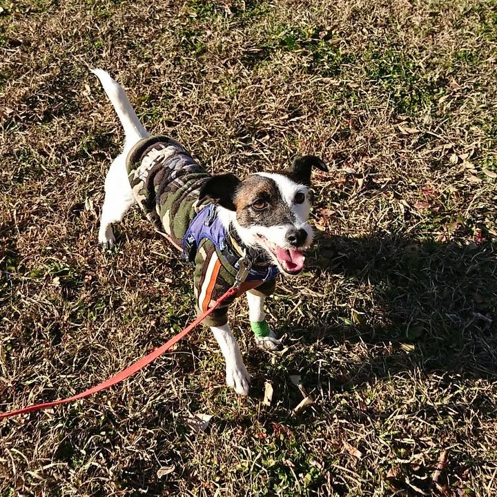 01646cc8 95c3 4397 85ef 84245c0b24a5 1546684162676