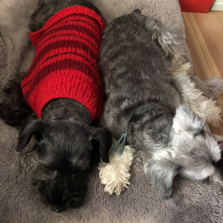 01647ca7 ce65 4693 b4b7 d2546ff3940c 1574221437501