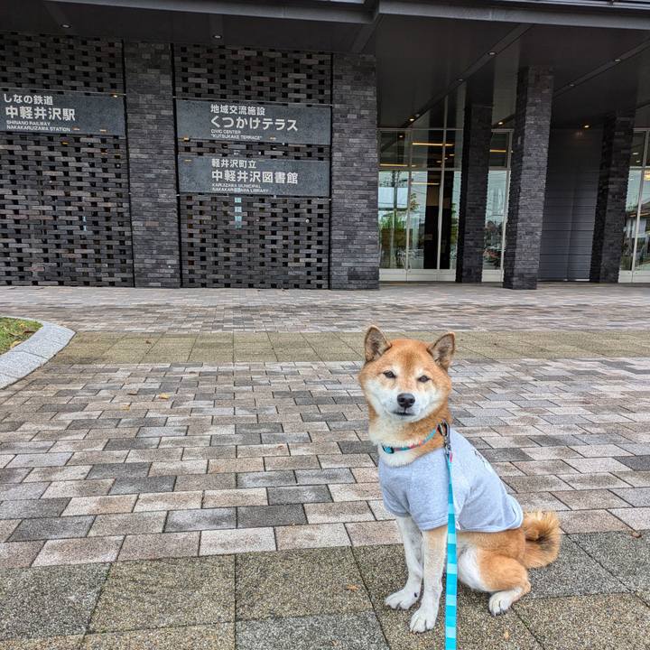 01647cf1 5d8d 4c41 84e1 1f313a587928 1728272887614