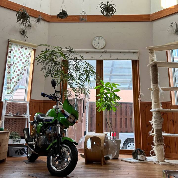 0164f8e3 8712 4d45 a5cb 2b9ea160637f 1686608680220