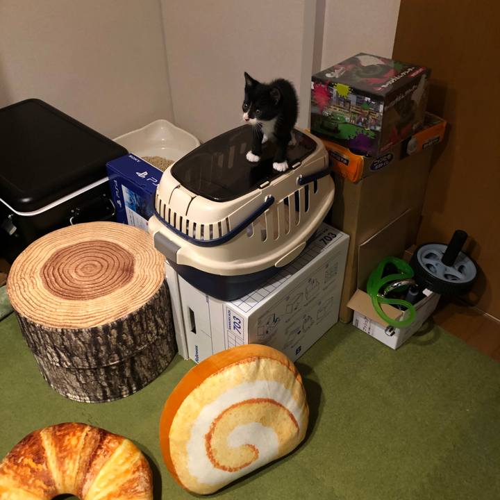 016500b8 eafc 4739 bef7 2d9289acdb01 1537593623540