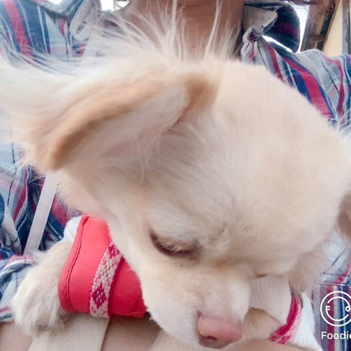 01654365 f1e2 4d31 a1d6 e21dbbed95a4 1619001517651