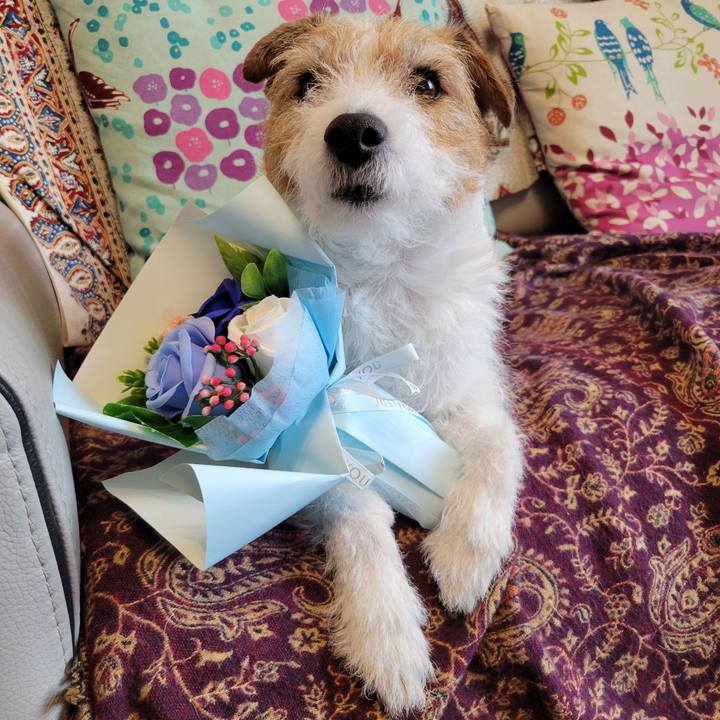 01655a36 c12c 4127 92a7 bc0657b6bbbe 1710136015655