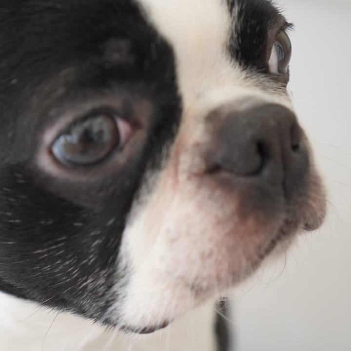 0165f0e4 0299 4415 bc89 964231af08f2 1583313650592