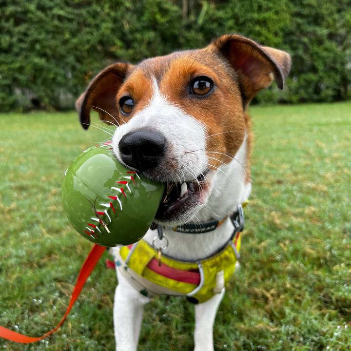 01660621 10ce 418d b4dd 102a9b419776 1727507687980