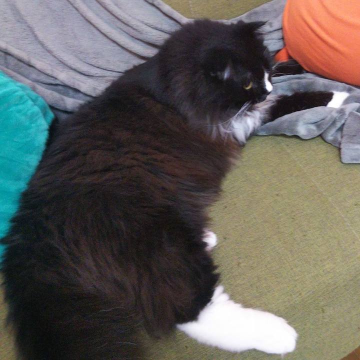 016606ca 6db0 47d4 ba27 1286992be86f 1657961116413