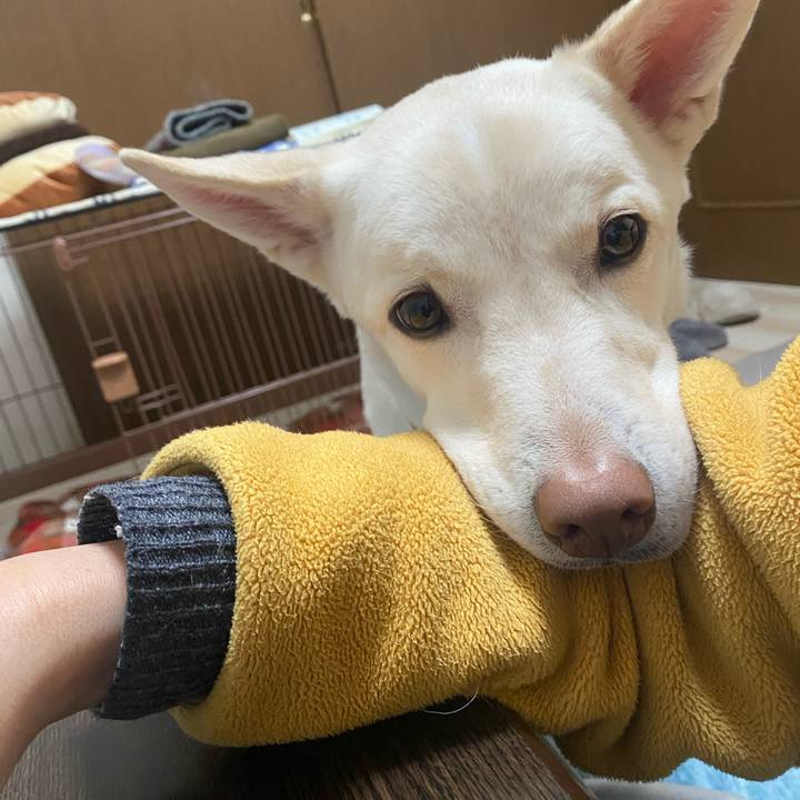 01661255 deb2 434b a936 25ae3654994f 1772948912530