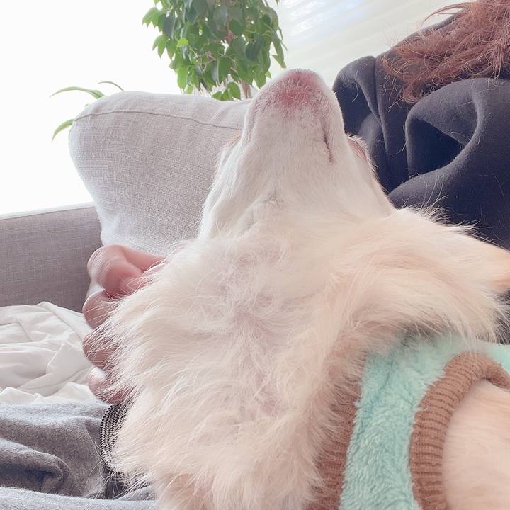 01663168 e8db 4e6f bc27 9d66a9bb2b3b 1733751647702