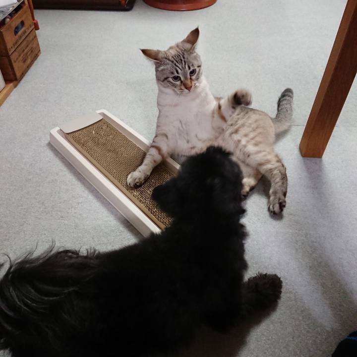 01666a5d da35 4330 a622 bcc753629280 1551602662963