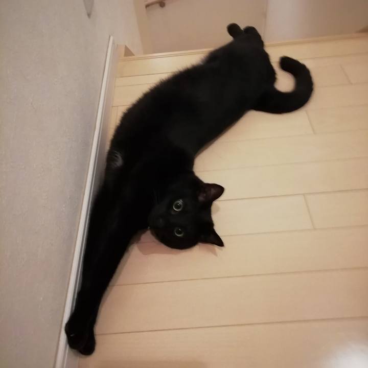 01668fe5 b040 4b15 b3e5 ac9dd1175ae5 1558793440261