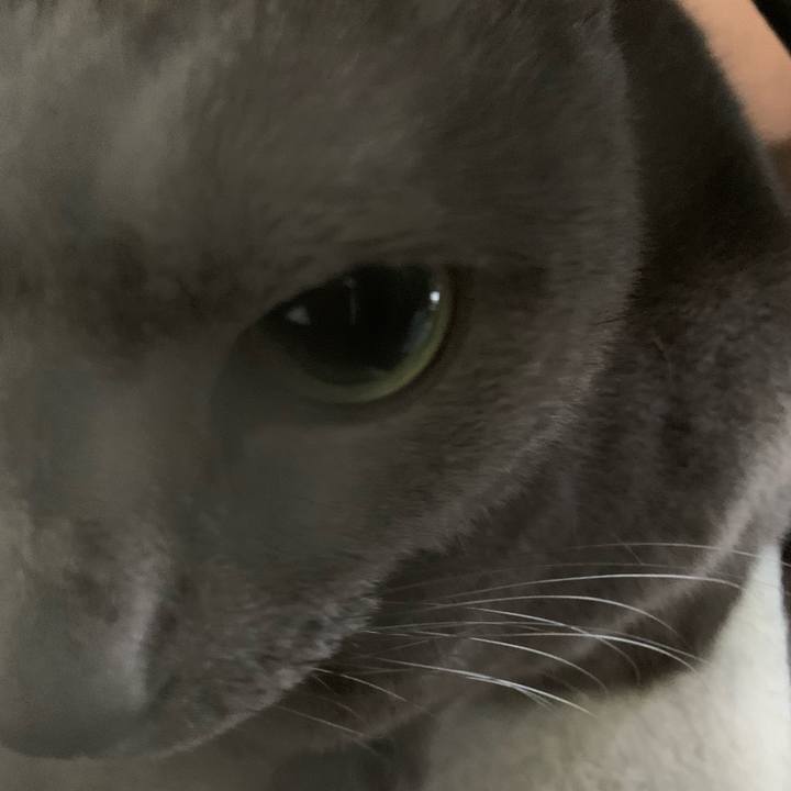 0166b289 d1d3 409e 9a86 f0dc31631772 1667351877832