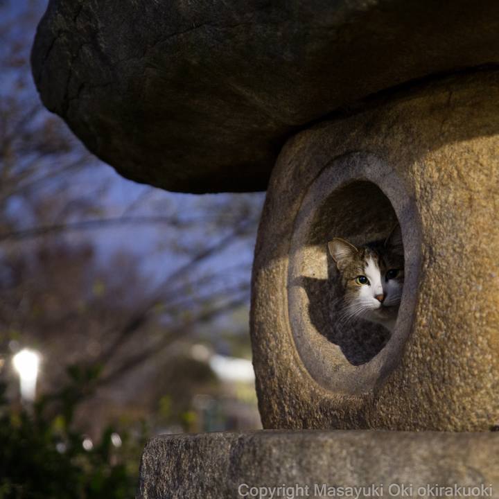 0166b542 59d5 4398 b490 92da2a7e3bad 1581663837918