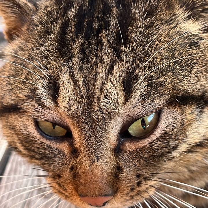 01670295 9d2b 4dc3 b135 3a93c99a3ee3 1741730385676