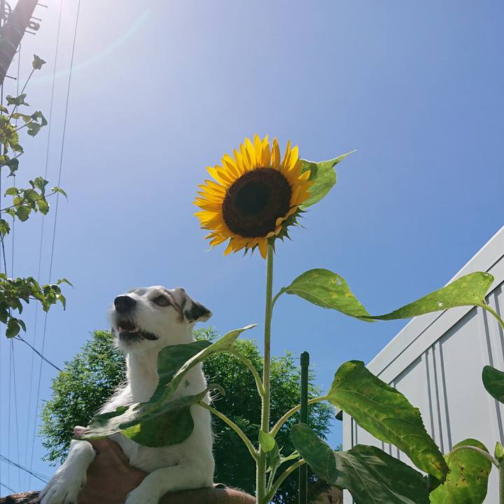 016713c2 6019 4887 8e89 838eddbe67b1 1535412879542