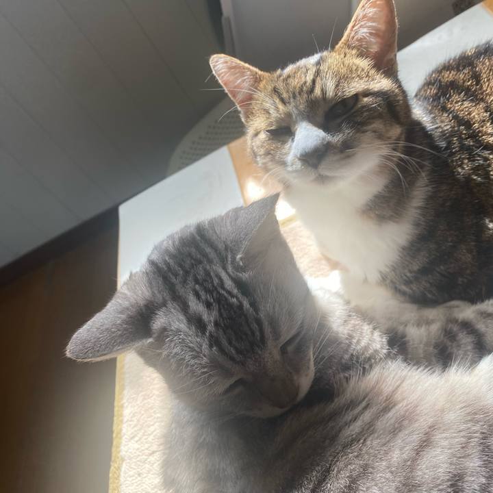 01673d27 00b6 48e6 83c4 998dff99ec95 1740882883664