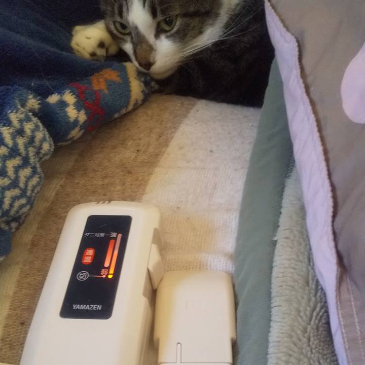 0167b526 d10f 4202 86c6 09e2b3806d41 1673484065980