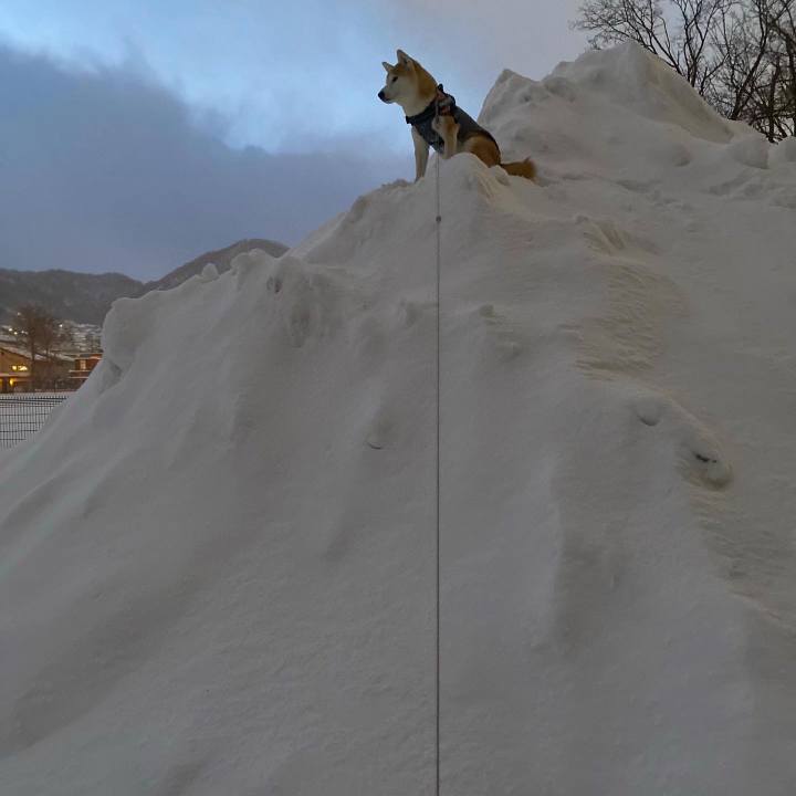 0167db8d 5256 493e 9529 ce3ffecf55b0 1640508846034