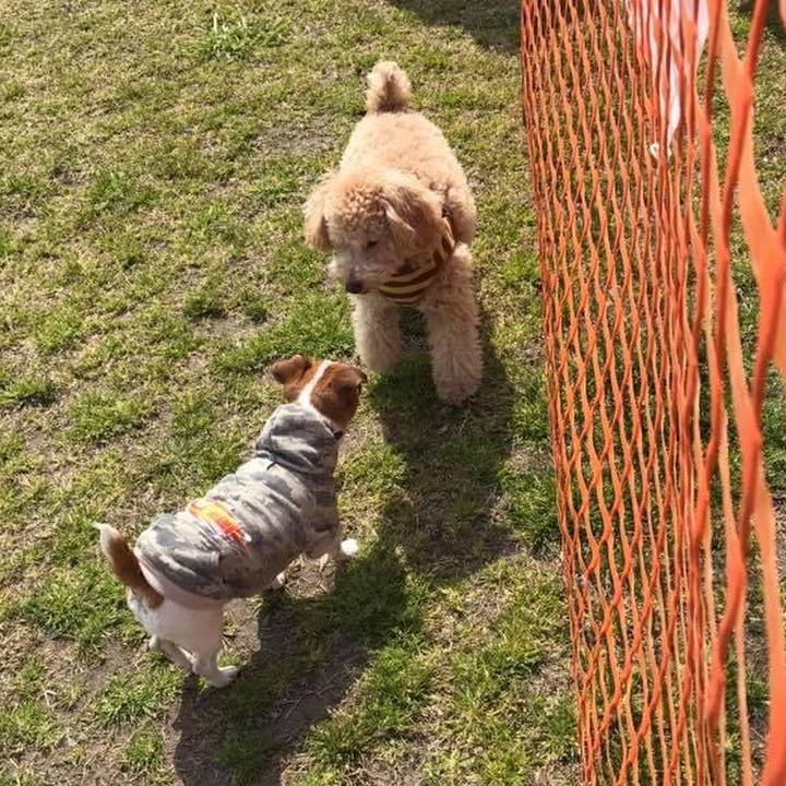 0167e22e 63f2 4bec 9d0d 25e68779c193 1679145633481