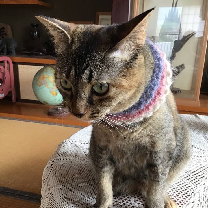 01683a40 7491 426b 8eac e454d5ccd41d 1627363786352